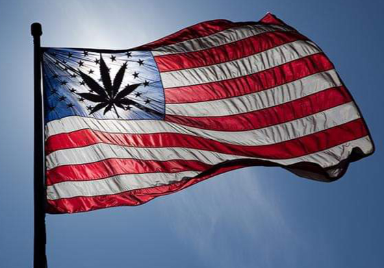 Cannabis Legalization Movement and Marijuana Counter Culture in America